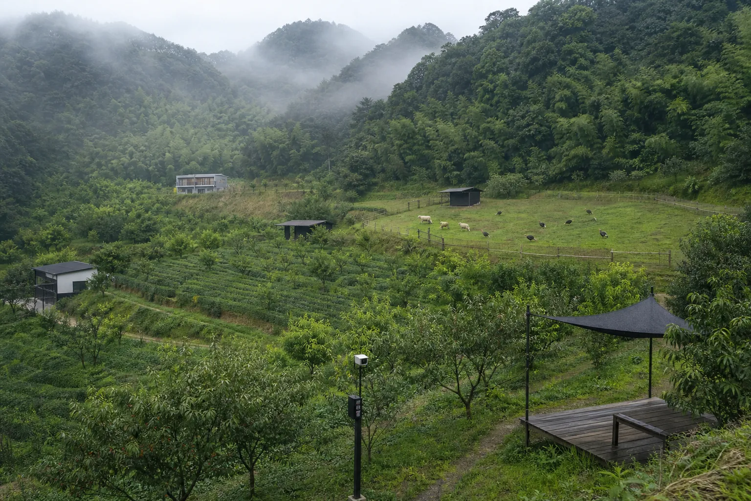 果园与动物轮牧区概念效果